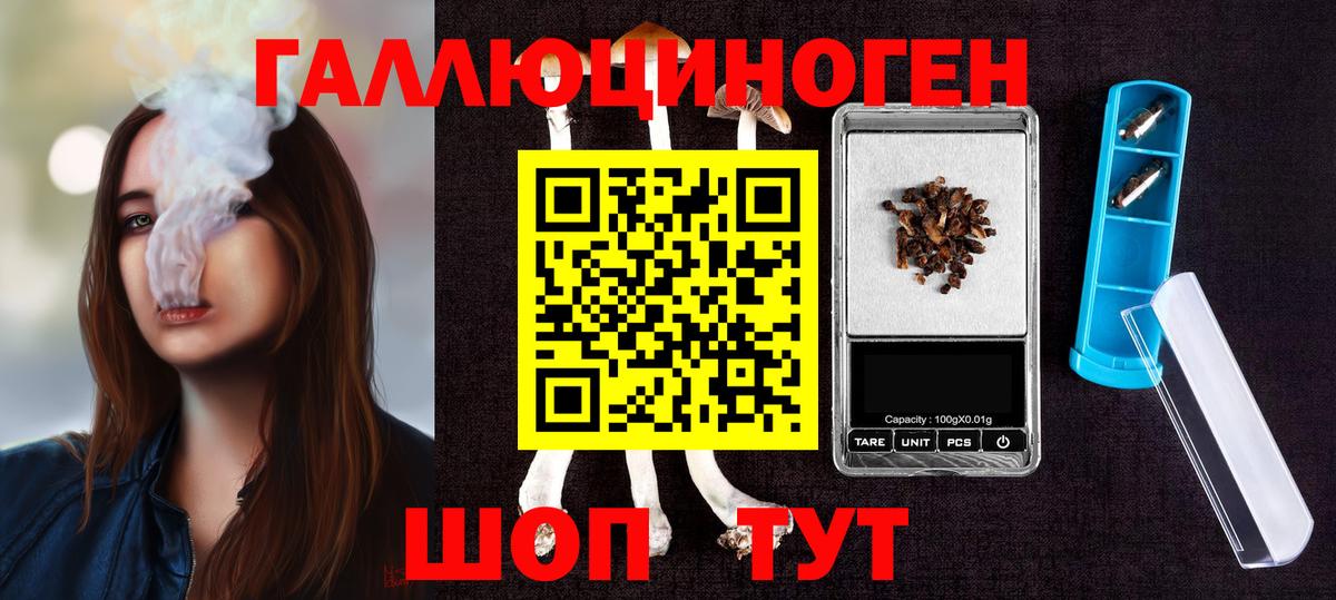 Арзамас  Псилоцибиновые грибы Psilocybe  Вход с VPN 